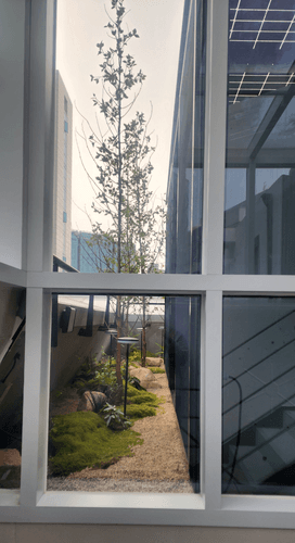 한음한방신경정신과한의원 강남본점 7번째 이미지