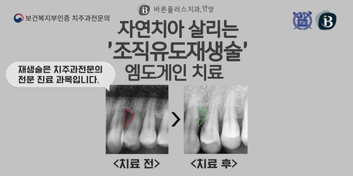 안양바른플러스치과의원 2번째 이미지