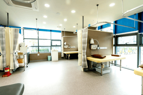 무척바른한방병원 1번째 이미지