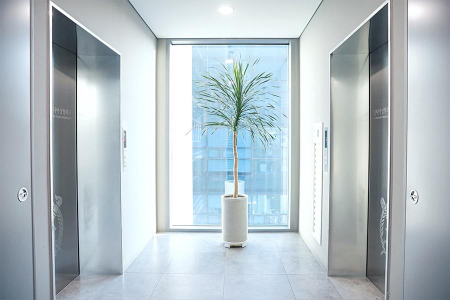 탑티어성형외과의원 6번째 이미지