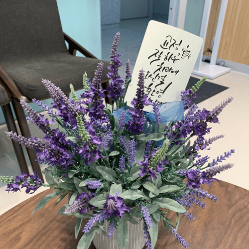 연세라벤더치과교정과치과의원 7번째 이미지