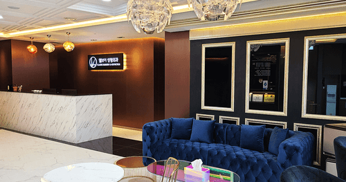 엘브이성형외과의원 2번째 이미지