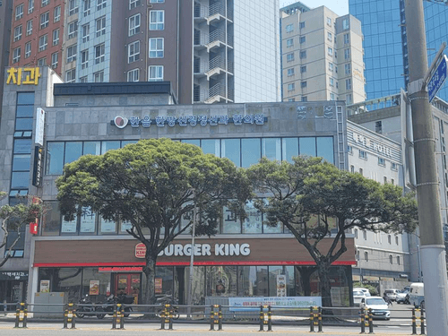 한음한방신경정신과한의원 제주점 5번째 이미지