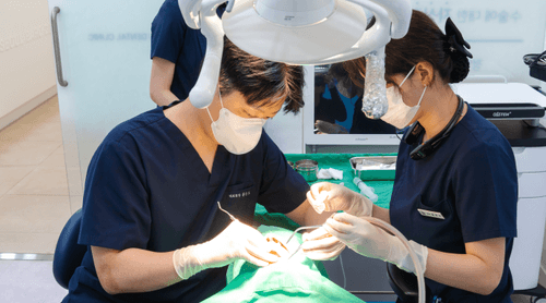 365서울바로치과의원 7번째 이미지