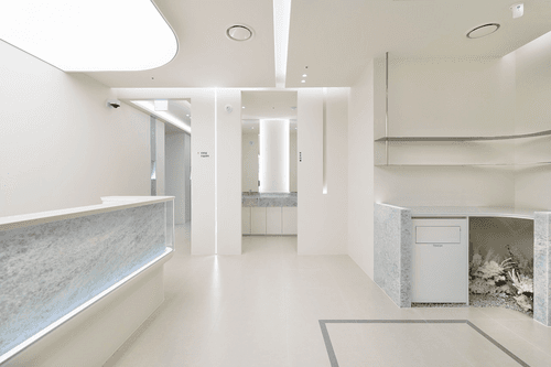 레브치과의원 6번째 이미지