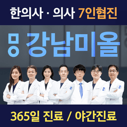 미올한방병원 강남본점