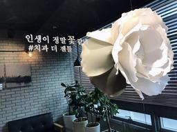 치과더 젠틀 치과의원