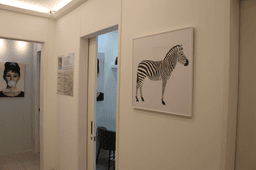 신촌홍대 라마르성형외과의원