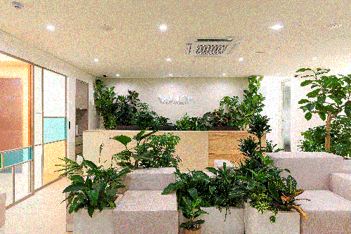 더왈츠의원 2번째 이미지