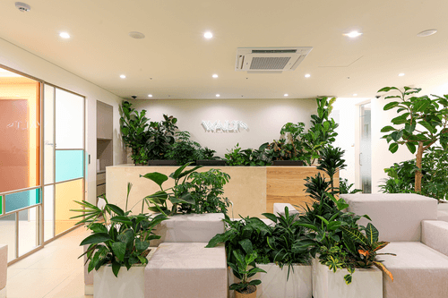 더왈츠의원 3번째 이미지