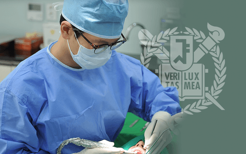 원더플란트치과의원 강북점 4번째 이미지