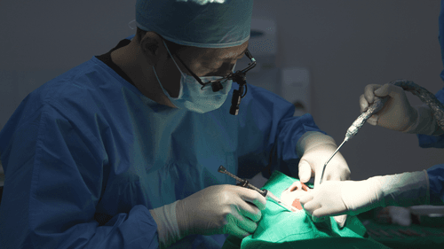 365드림치과병원 수영 1번째 이미지